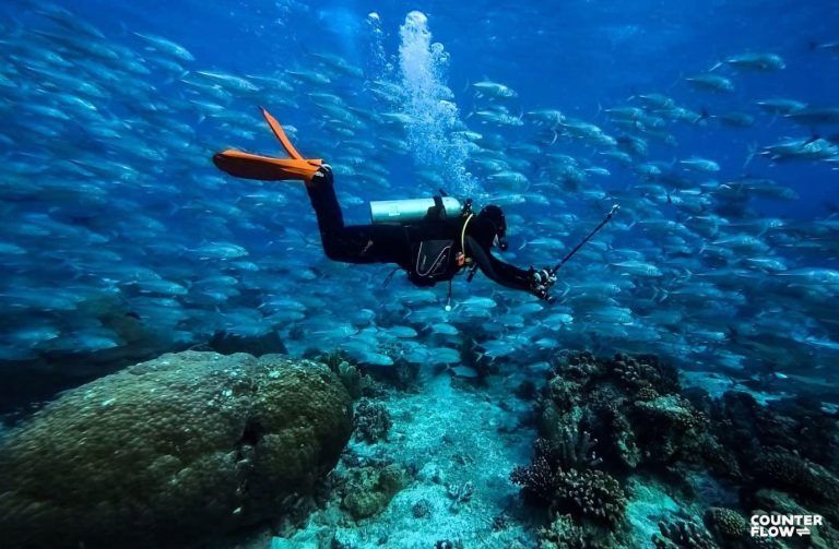 Born to Be Wild marks 19 years with a four-part journey across the Philippines’ marine frontiers